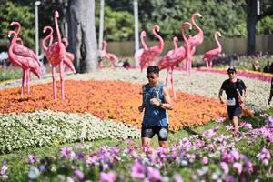 BIB: 
                            <button type="button" onclick="openModal(27793864)" class="btn btn-primary btn-sm float-right btn-popup" data-toggle="modal" data-target=".modal-high-quality">
                        <i class="fas fa-shopping-cart"></i> Add to Cart
                    </button>
                                            <button type="button" onclick="isThisMe(27793864, true)" class="btn btn-success btn-sm float-right btn-popup btn-isme hidden" data-toggle="tooltip" data-placement="bottom" title="นี่คือรูปของคุณใช่ไหม คลิกที่นี่เพื่อเอาเข้าอัลบั้ม">
                        <i class="fas fa-plus"></i> Add to album
                    </button>
                    <button type="button" onclick="isThisMe(27793864, false)" class="btn btn-warning btn-sm float-right btn-popup btn-isnotme hidden">
                        <i class="fas fa-ban"></i> Remove from album
                    </button>